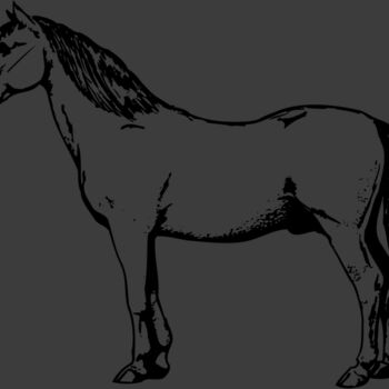 HORSE030 Thumbnail