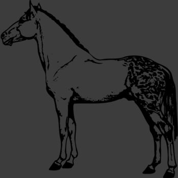HORSE031 Thumbnail