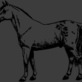 HORSE032 Thumbnail