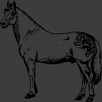 HORSE033 Thumbnail