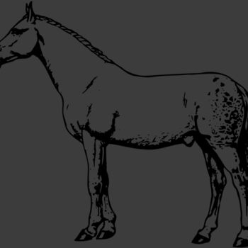HORSE034 Thumbnail