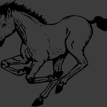 HORSE043 Thumbnail