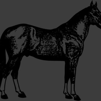 HORSE054 Thumbnail