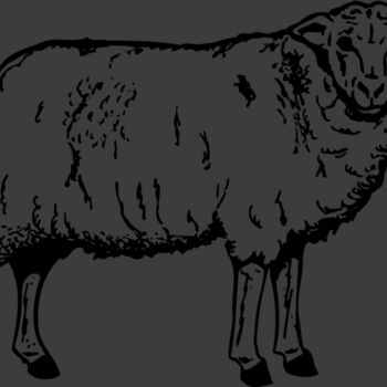 SHEEP002 Thumbnail