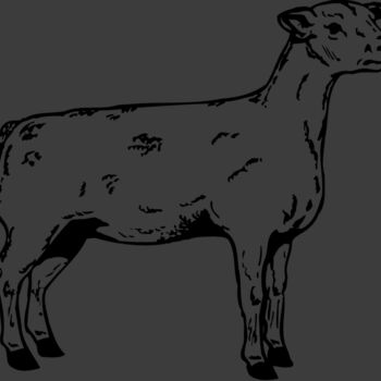 SHEEP005 Thumbnail