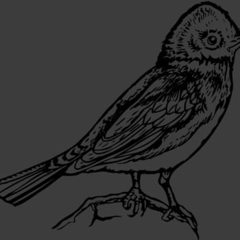 BIRD006 Thumbnail