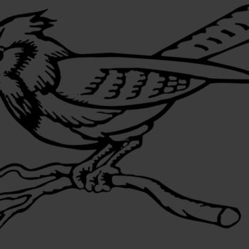 BIRD011 Thumbnail