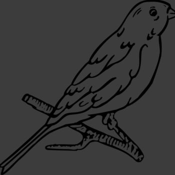 BIRD015 Thumbnail