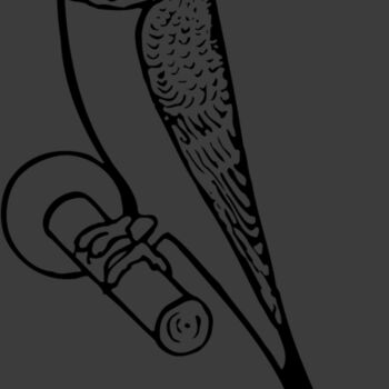 BIRD016 Thumbnail