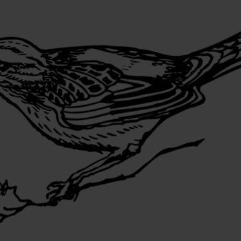 BIRD018 Thumbnail