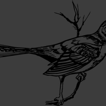 BIRD028 Thumbnail