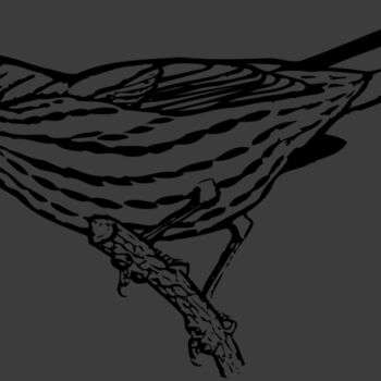 BIRD029 Thumbnail