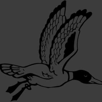 BIRD069 Thumbnail