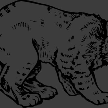 BOBCAT03 Thumbnail