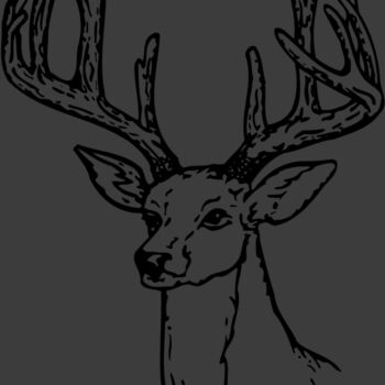 DEER009 Thumbnail