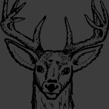 DEER012 Thumbnail