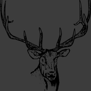 DEER015 Thumbnail