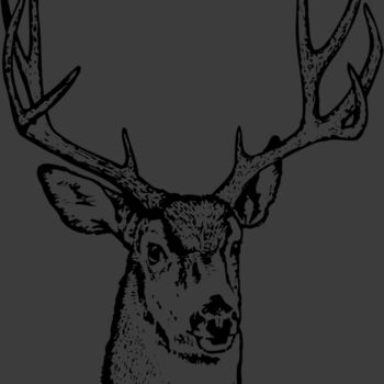 DEER016 Thumbnail