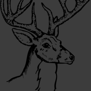 DEER017 Thumbnail