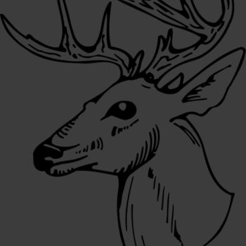 DEER018 Thumbnail