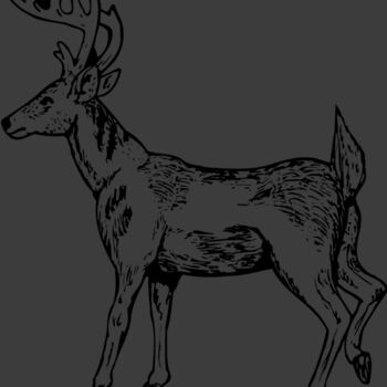 DEER019 Thumbnail