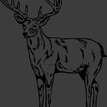 DEER021 Thumbnail