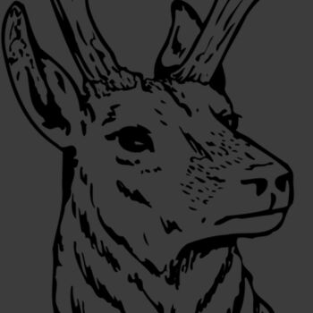 DEER023 Thumbnail