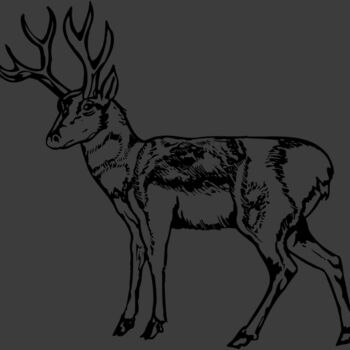 DEER025 Thumbnail