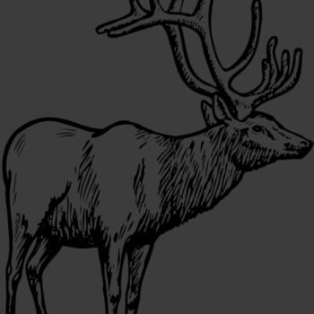 DEER028 Thumbnail