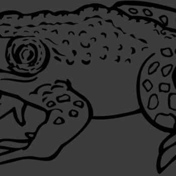 FROG02 Thumbnail