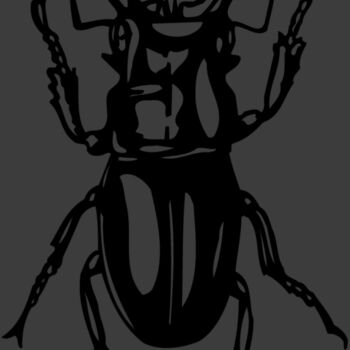 EARWIG Thumbnail