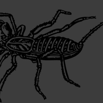 SCORP02 Thumbnail