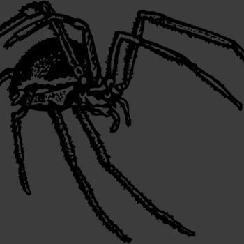 SPIDER01 Thumbnail