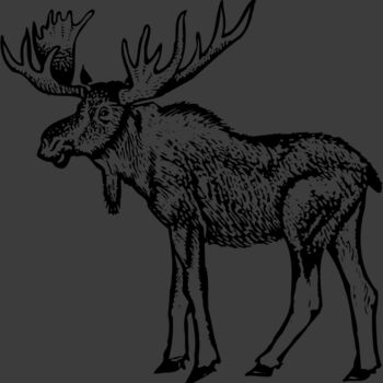 MOOSE005 Thumbnail
