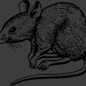 MOUSE001 Thumbnail
