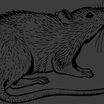 MOUSE003 Thumbnail