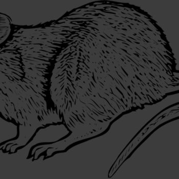 MOUSE004 Thumbnail