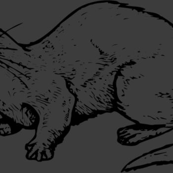 OTTER002 Thumbnail