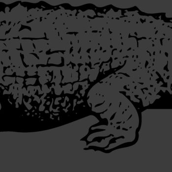 CROC03 Thumbnail