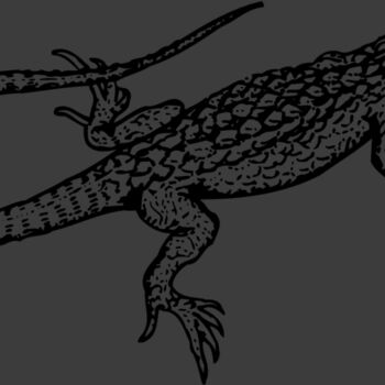 LIZARD01 Thumbnail