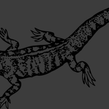 LIZARD02 Thumbnail