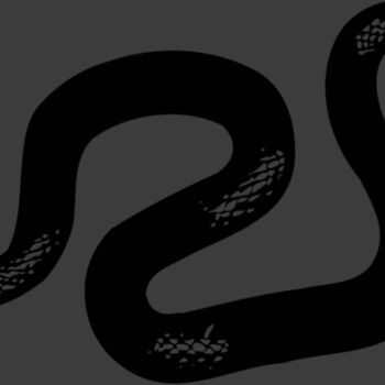 SNAKE013 Thumbnail