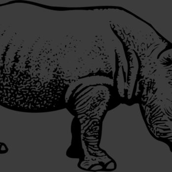RHINO001 Thumbnail