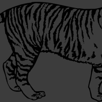 TIGER003 Thumbnail