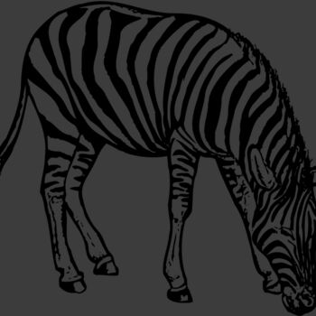 ZEBRA001 Thumbnail