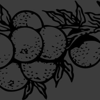 FRUIT035 Thumbnail