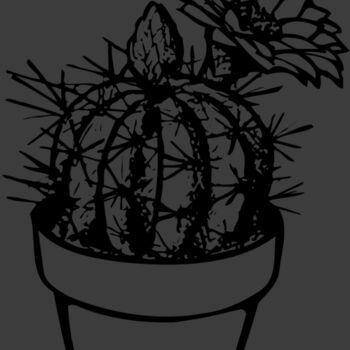 CACTUS01 Thumbnail