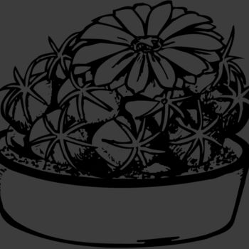 CACTUS02 Thumbnail