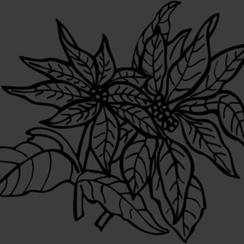 FLOWER29 Thumbnail