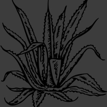 PLANT02 Thumbnail